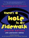 There's a Hole in My Sidewalk The Romance of Self-Discovery by Portia Nelson eBook